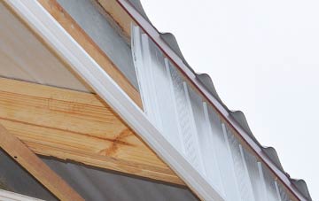 why Worminster fascia repairs are essential