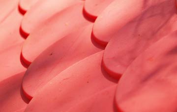 Worminster plastic roof costs